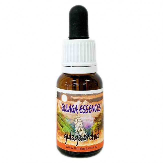 グラガオーキッド[Gulaga Orchid]