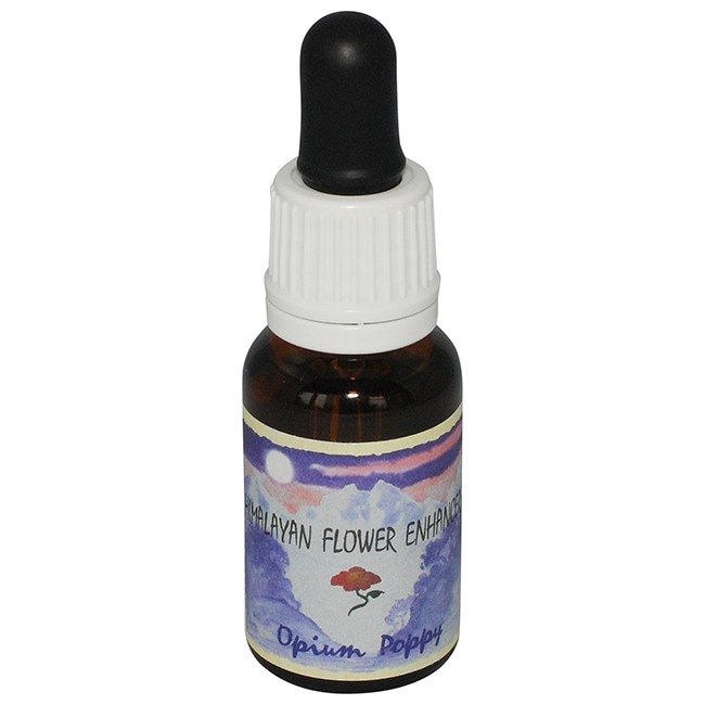 オピウムポピー[Opium Poppy]