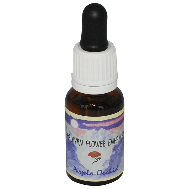 パープルオーキッド[Purple Orchid]