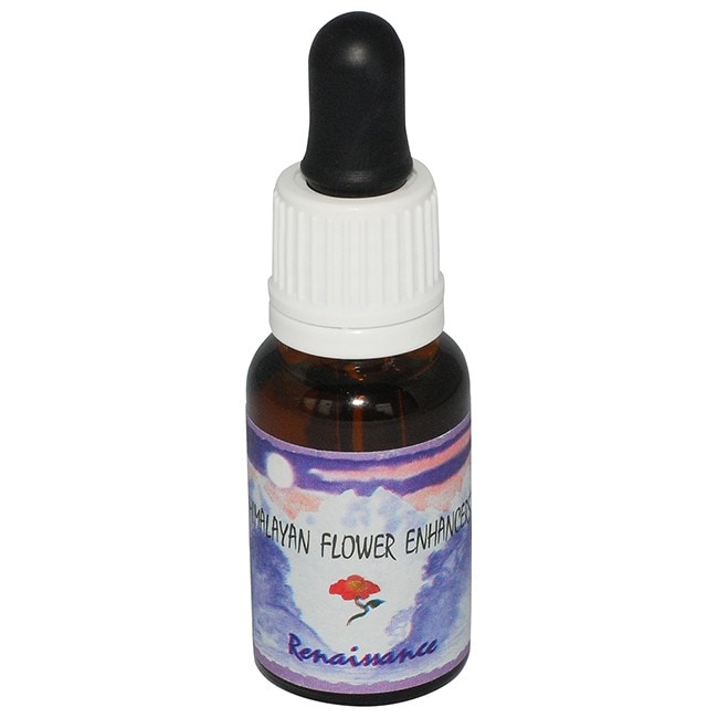 ルネッサンス[Renaissance]