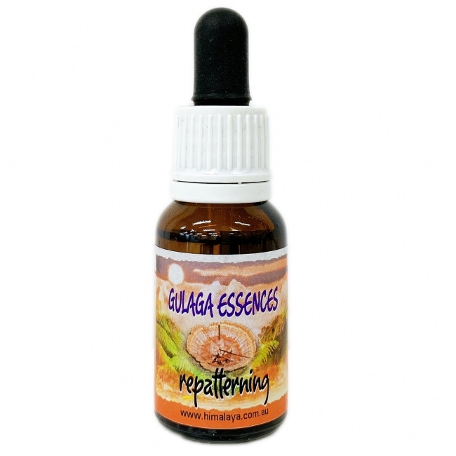 リパターニング[Repatterning]