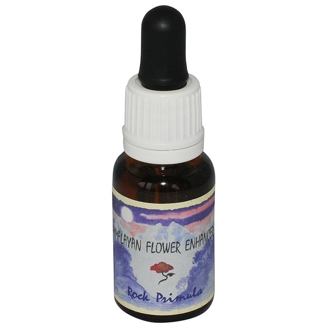 ロックプリムラ[Rock Primula]