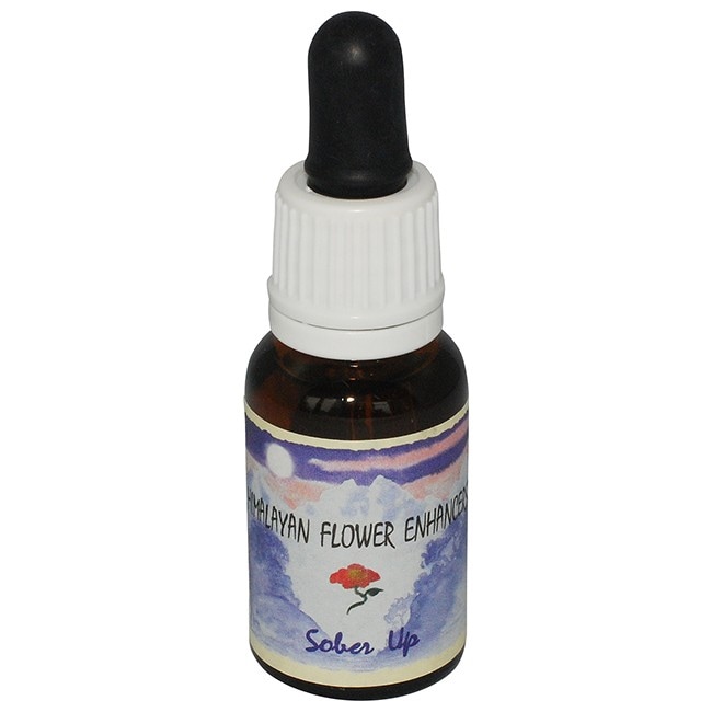 ソバーアップ[Sober Up]