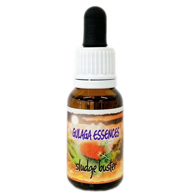 スラッジバスター[Sludge Buster]