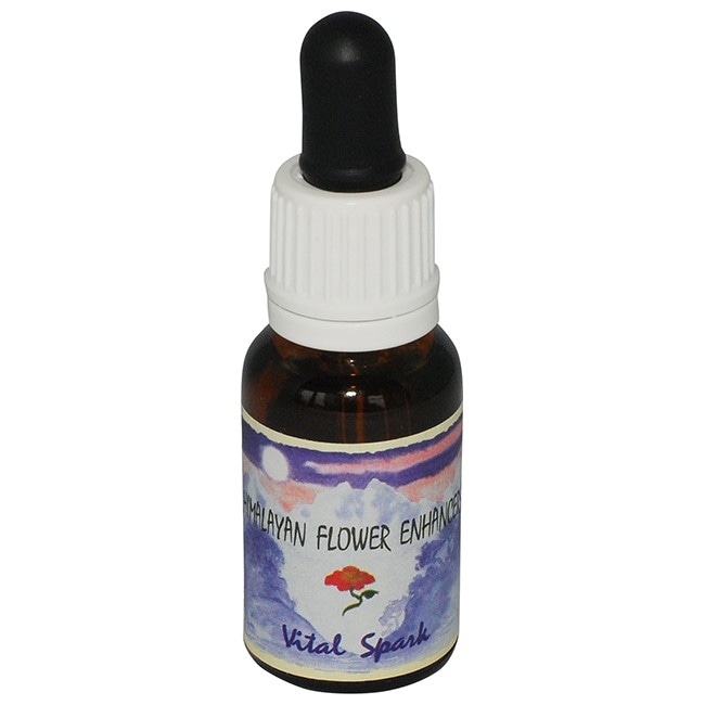 バイタルスパーク[Vital Spark]