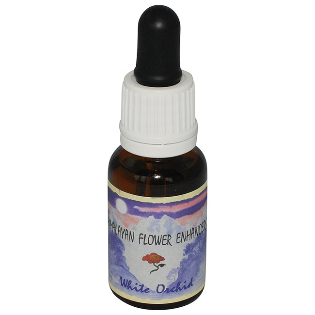 ホワイトオーキッド[White Orchid]