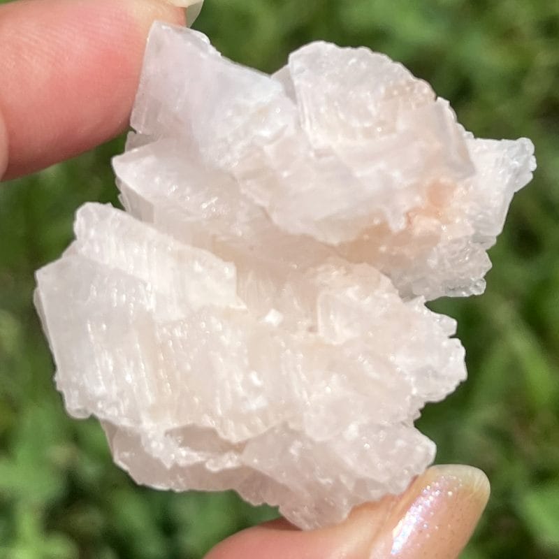 ピンク・ハーライト10（大）