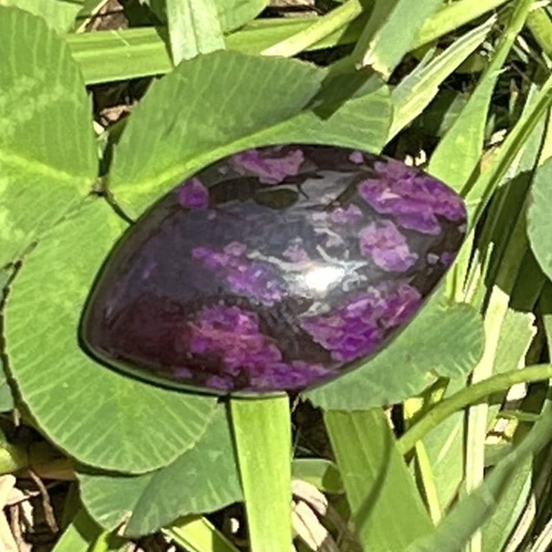 スギライト・ルース1