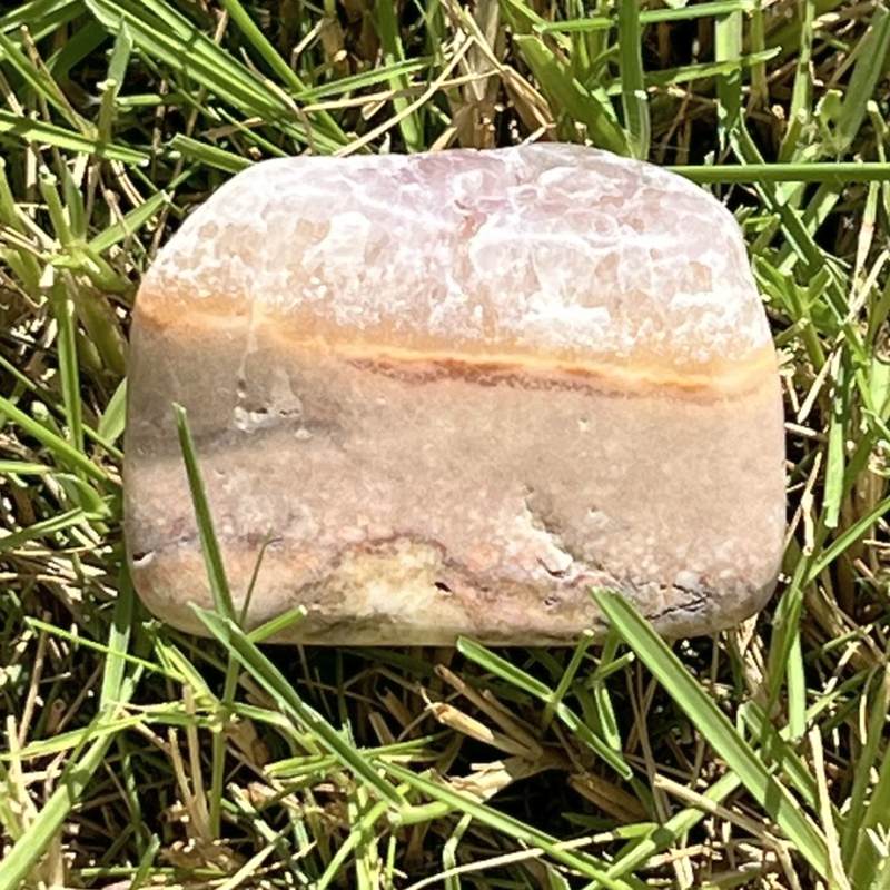 ブッケンハウトジャスパー・タンブル8