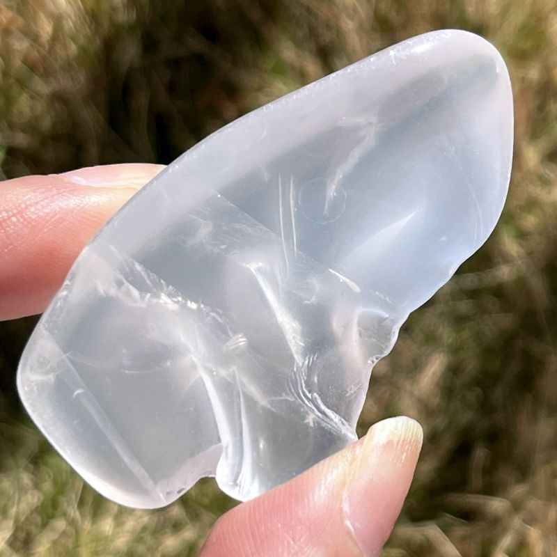 メタモルフォシス・タンブル7