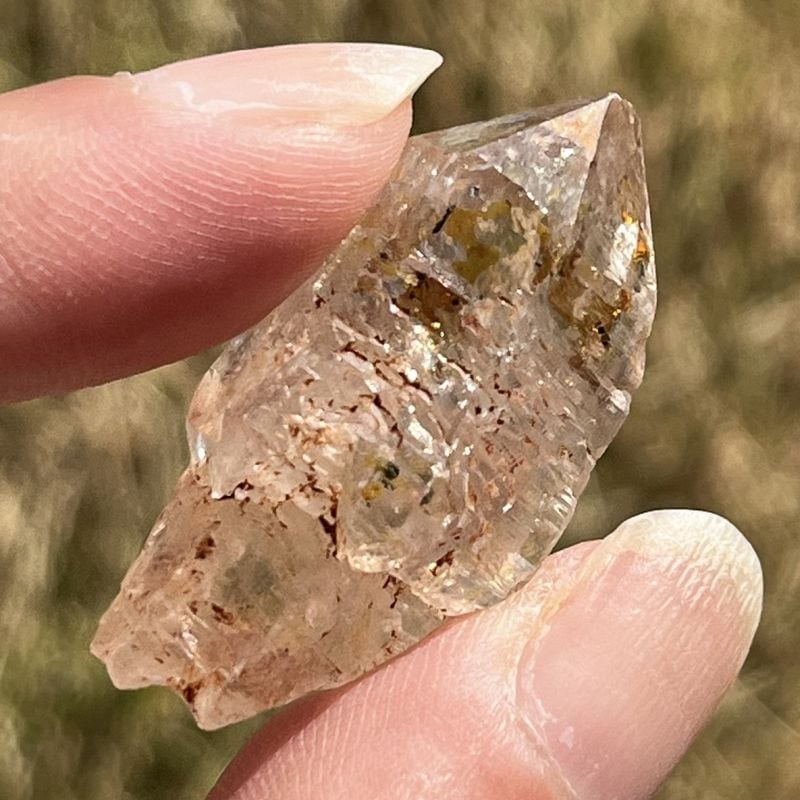 マダガスカル・フェアリーセプター（小）3（レインボウ）