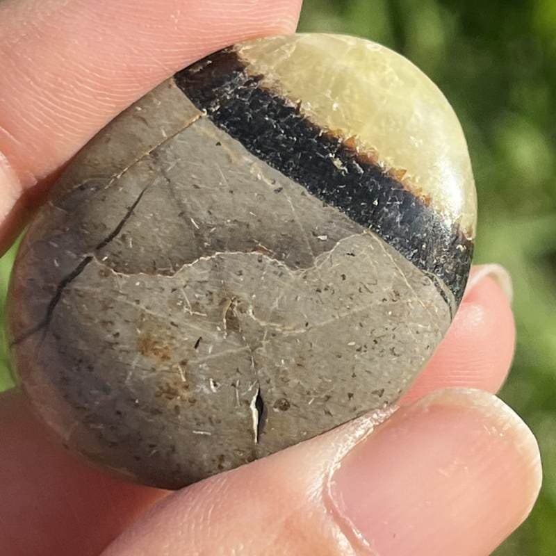 セプタリアン・平型タンブル4