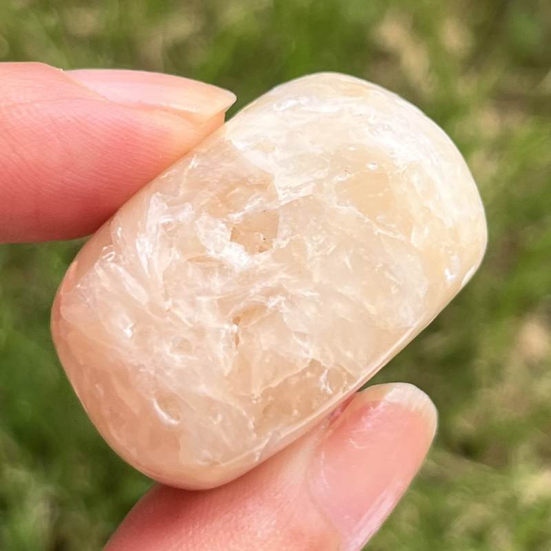 スティルバイト・タンブル6