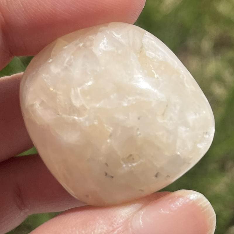 スティルバイト・タンブル7