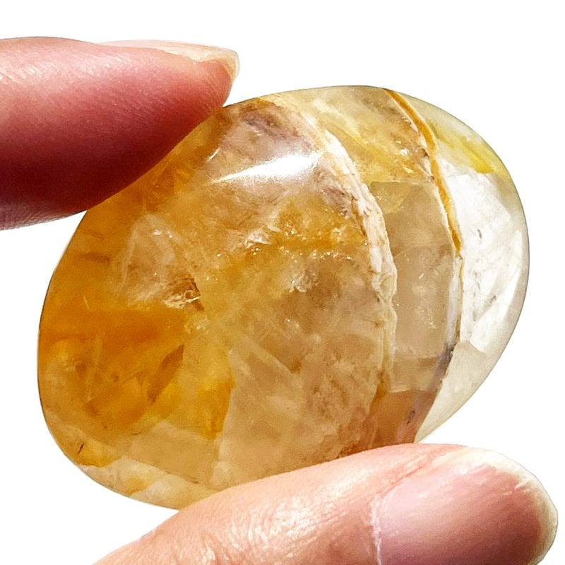 ゴールデンヒーラー・平型ポリッシュ9