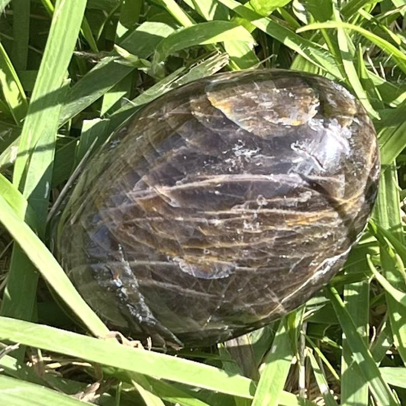 ブラックムーンストーン・大きめ円形ポリッシュ2