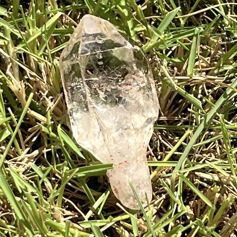 マダガスカル・フェアリーセプター（中）７