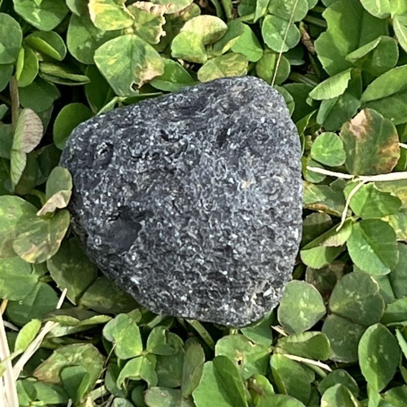 アグニマニタイト（パール・オブ・ディヴァイン・ファイアー）1