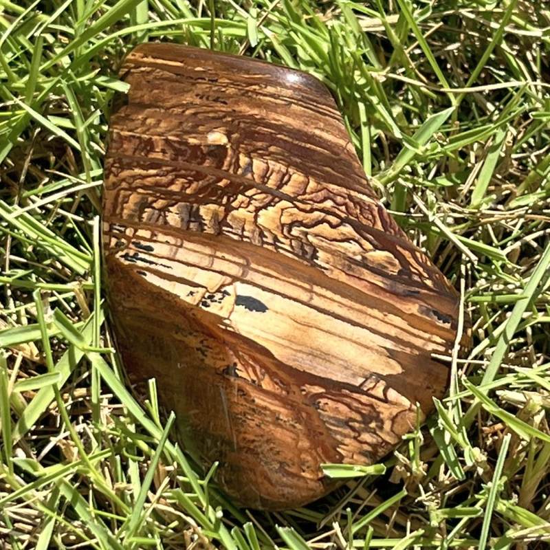 ビッグスフォーメーション・ピクチャージャスパー3