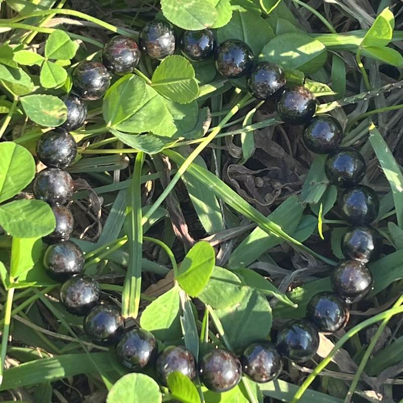 アルベゾナイト・ブレスレット8mm（AAA）1