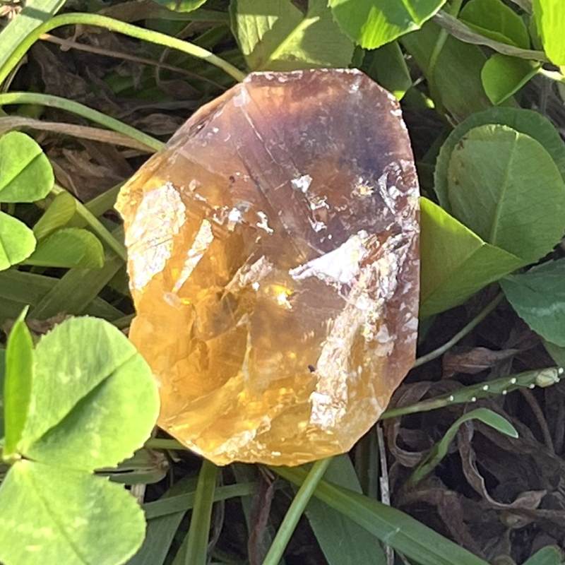 フランス産バイカラー・フローライト4（レインボウ）