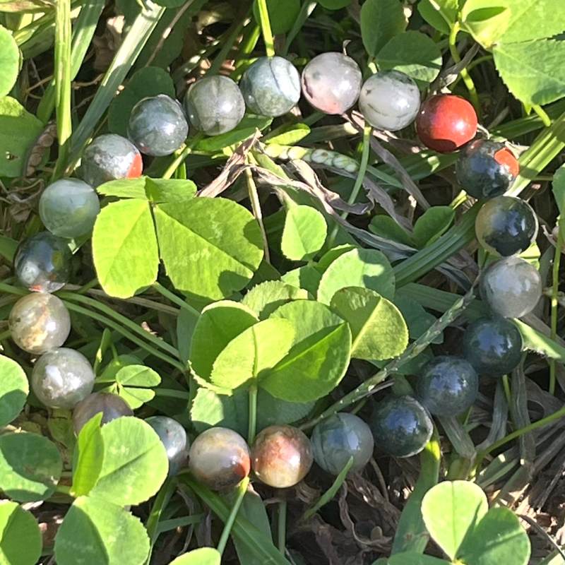 アフリカンブラッドストーン（セフトナイト）・ブレスレット8mm2