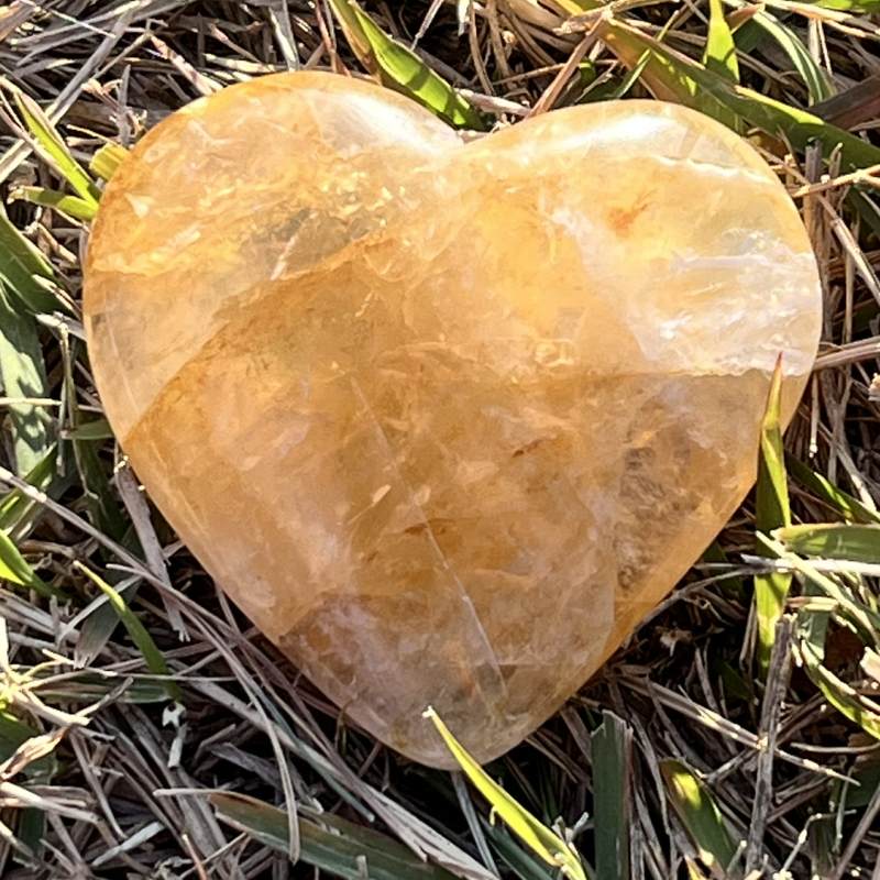 ゴールデンヒーラー・ハート（レインボウ）