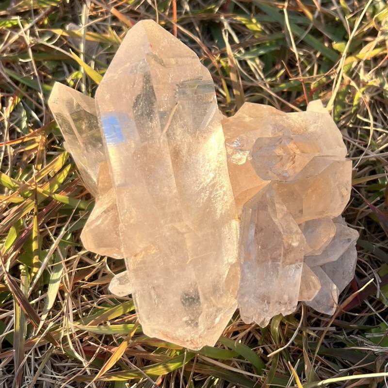 マニカランクォーツ原石（大）（レインボウ、DT）