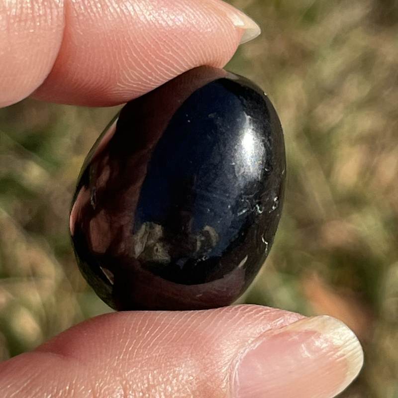 ペトロフスキー・シュンガイト・エッグ2