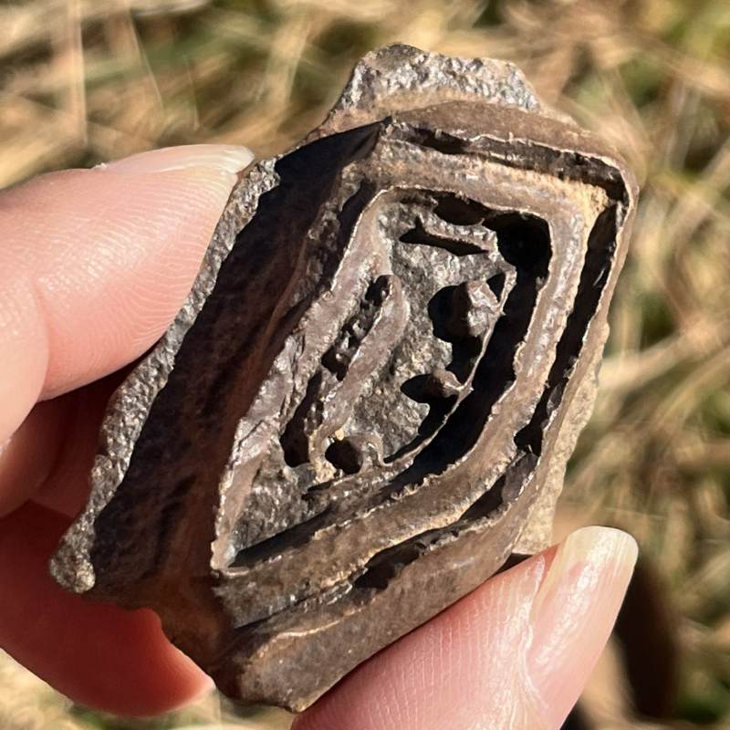 バカリストーン（ツェサイト）（超レア）中1