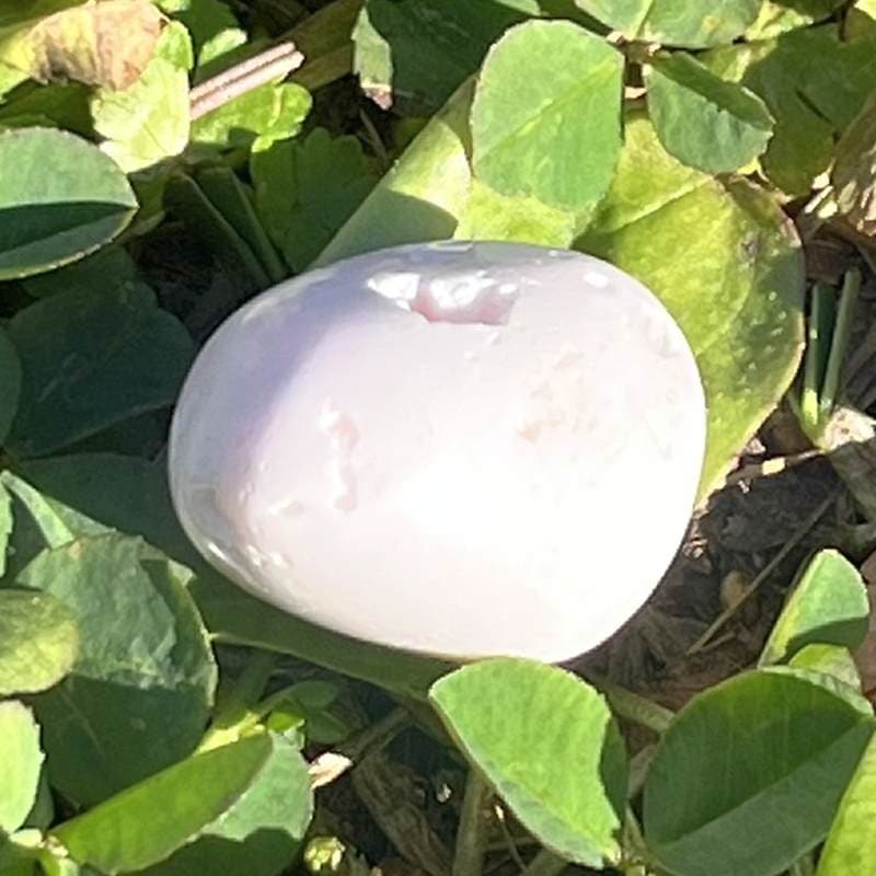 マンガノカルサイト・タンブル6