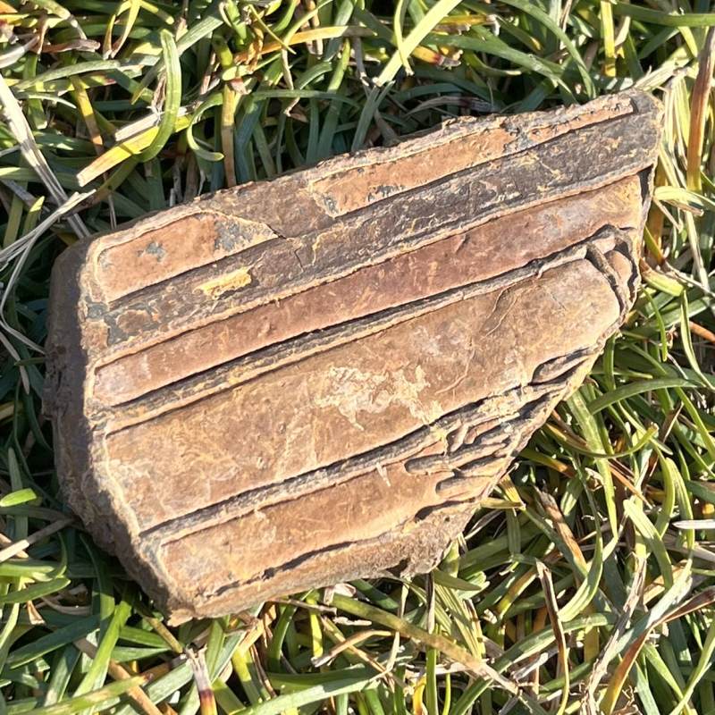 バカリストーン（ツェサイト）（超レア）大1