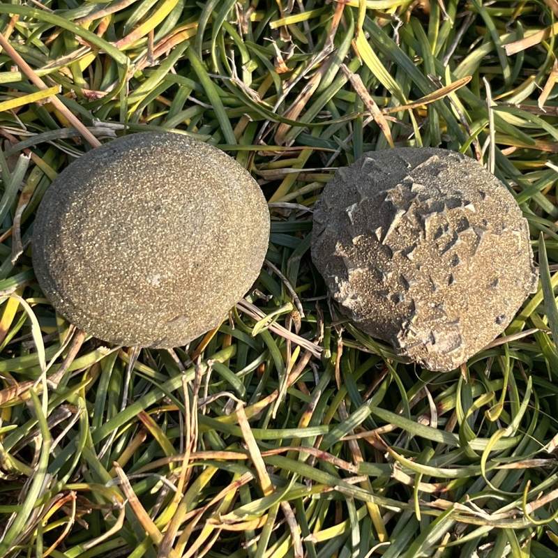 レインボーボージャイ（ボージー）ストーン(ペア）６