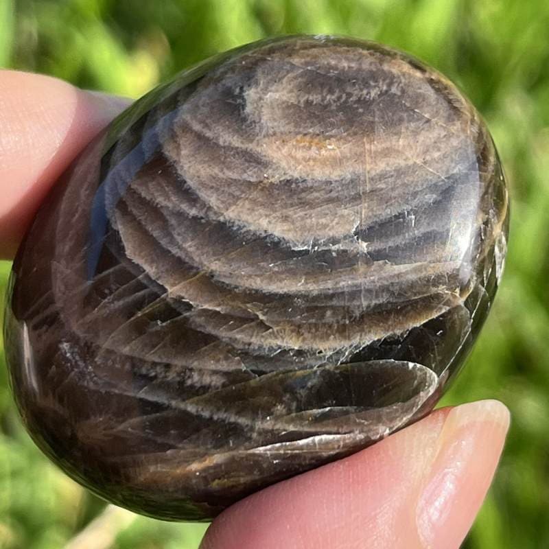 ブラックムーンストーン・大きめ円形ポリッシュ3