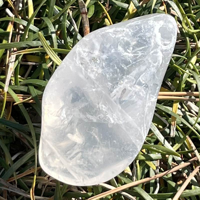 メタモルフォシス・タンブル1（中）（レインボウ）