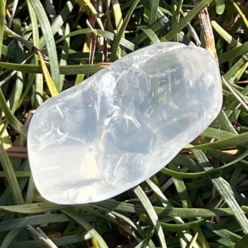 メタモルフォシス・タンブル2（レインボウ）