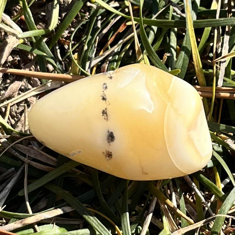 デンドリティックオパール（メロディコレクション/Heirloom Inventory)