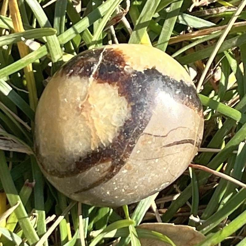 セプタリアン・丸型タンブル1