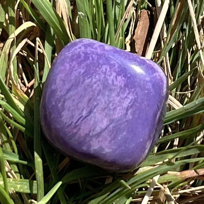 チャロアイト・タンブル2