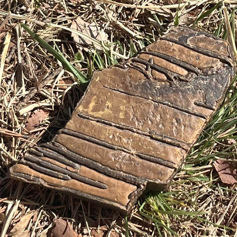 バカリストーン（ツェサイト）（超レア）特大