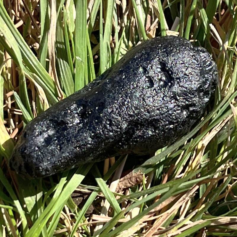 チベタンテクタイト1