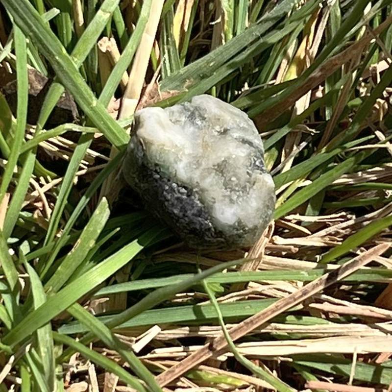 エメラルド・ウィズ・フェナカイト（超レア！）3