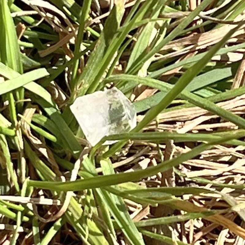 ビルマ産フェナカイト（超レア！）2