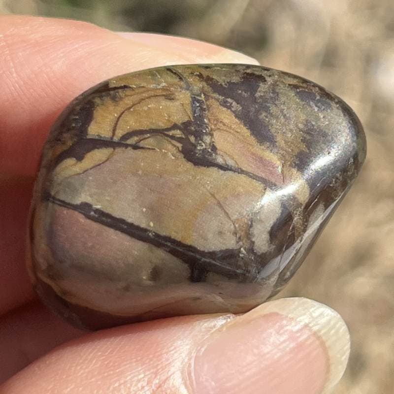 ングニ ジャスパー・タンブル2