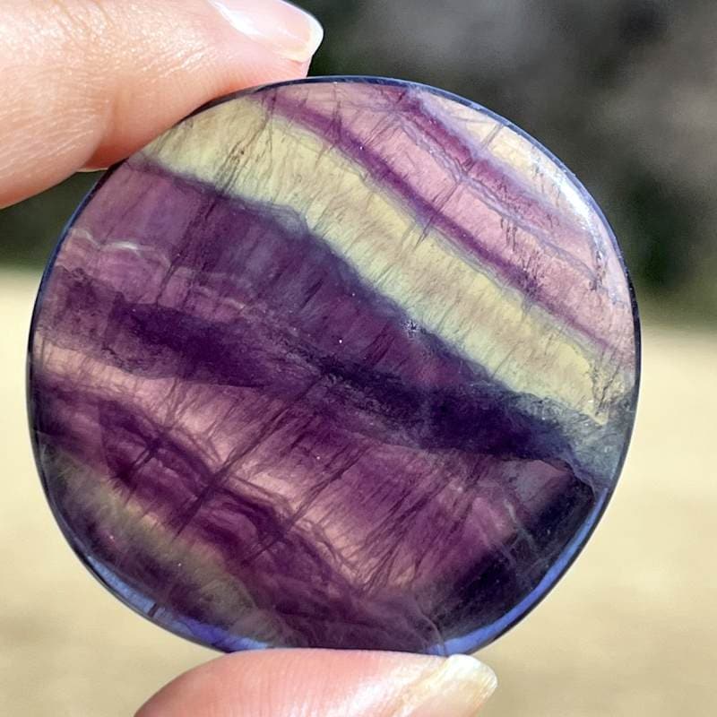 レインボウフローライト・ウォーリーストーン4