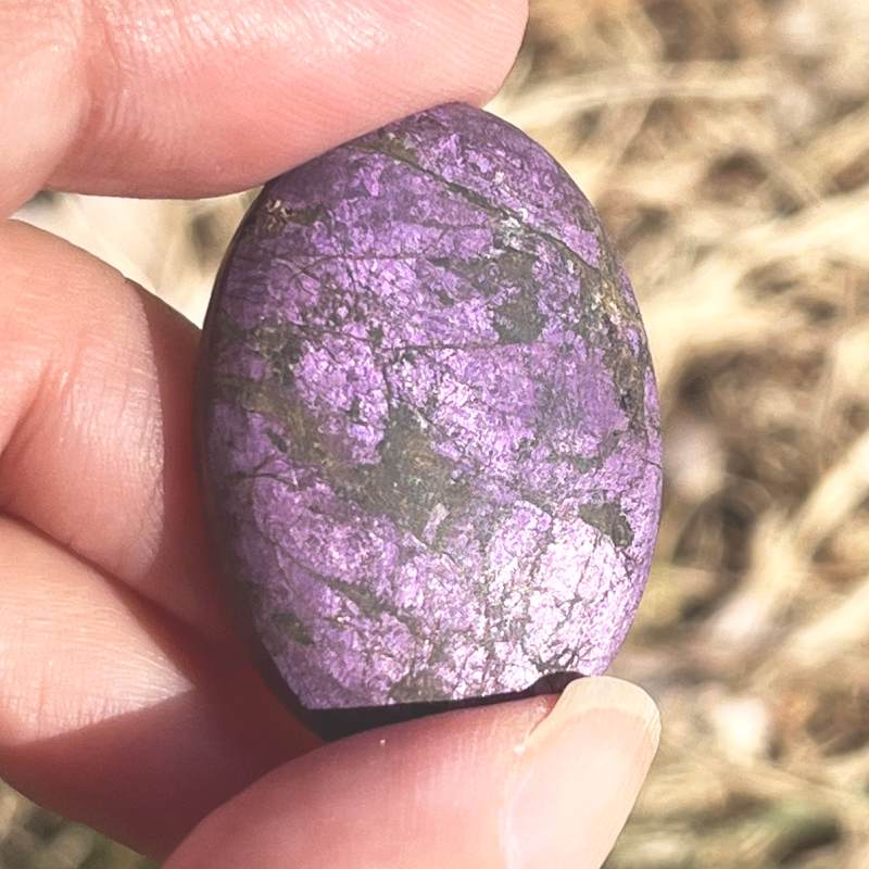 パープライト・ルース（大）1