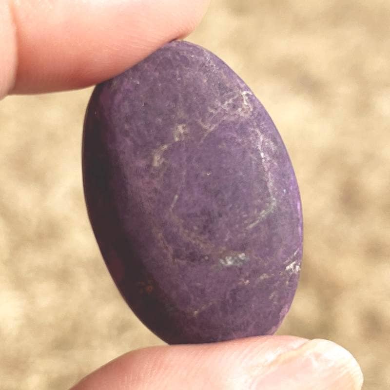 パープライト・ルース（大）2