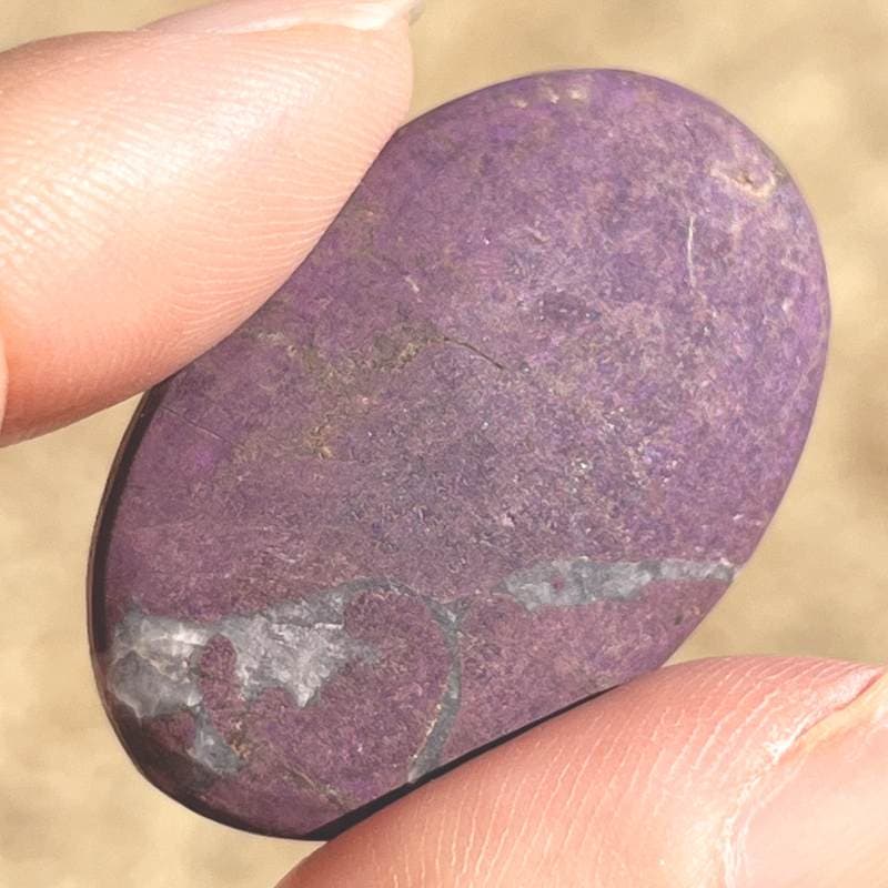 パープライト・ルース（大）3