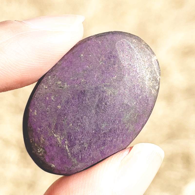 パープライト・ルース（大）4