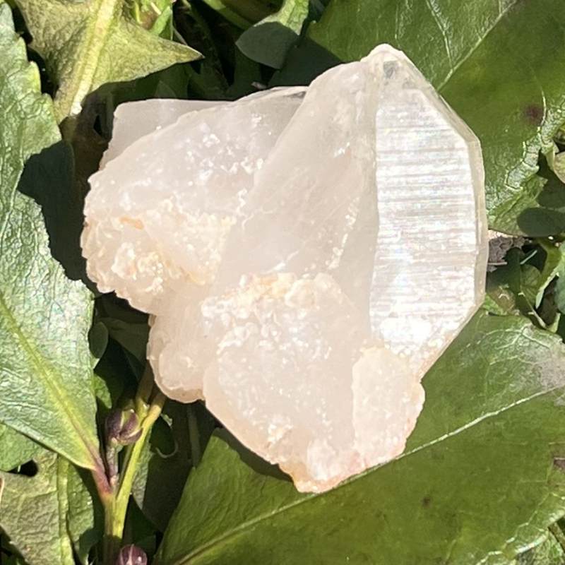 サマディクォーツ5